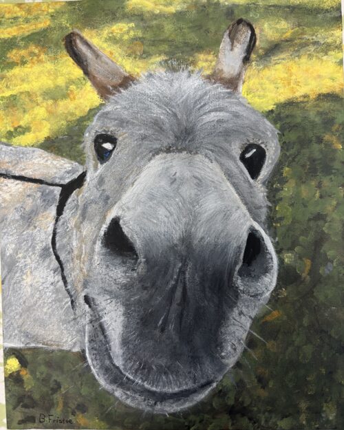 Donnie the Donkey notecards